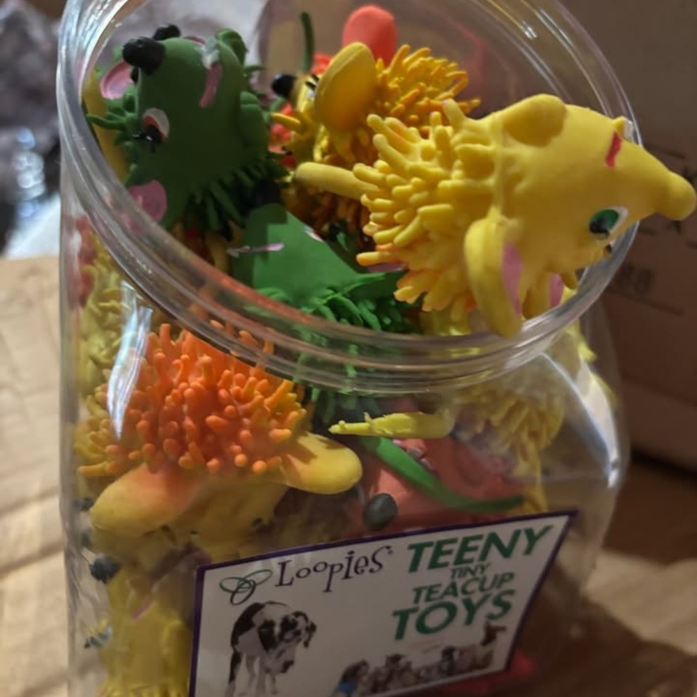 Display of 100 Latex tiny spiny squeaky mice T-cup breed mouse dog toy W/ Refill